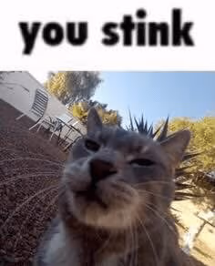 stinkey emote