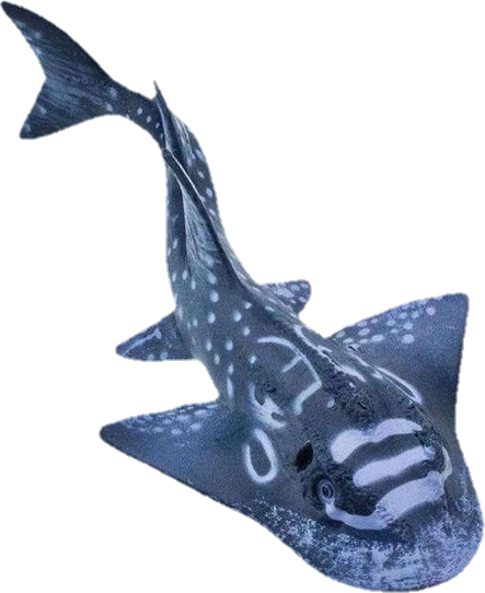 shark emote