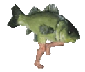 RuningFish emote