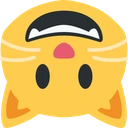 upsidedown_cat emote