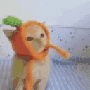 Carroting emote