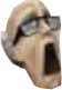 scientist emote