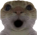 0 emote