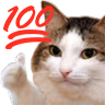 kiisu_hundredpercent emote