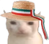 ItalianCat emoji