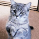 PLEASE emote