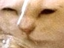 confused emote