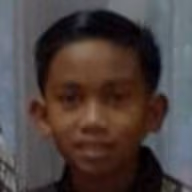 apis emote