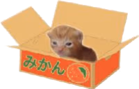 RobertBox emote