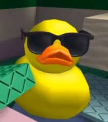 CoolDuck emote