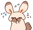 bunny_hide emote