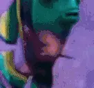 JudgingFish emote