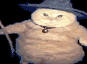 fatasswizardmakesaspellingerror emoji