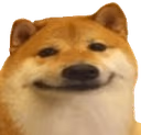 Shiba emote