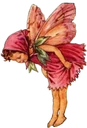 fairylover emote