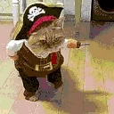 piratecat emoji