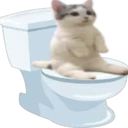 catshittingverycomfortable emote