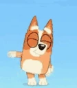 bingobevibing emote