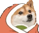 DogeTea emote