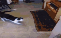 testing emote