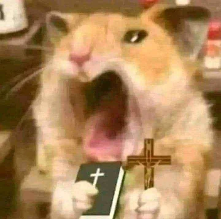 RatPrayge emote