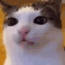 Buggin animated emote