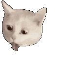 cat_throw_up emote