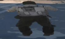 CS2 emote