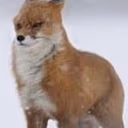 wimdyFox emote
