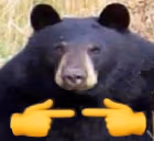 BEAR emote