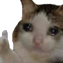 sad_cat_thumbsup emote