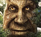 oak emote