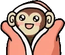 fonkymonky emote