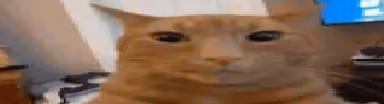 micaaaaaaaaaaaaara emote