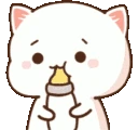 mochi_cat_baby emoji