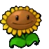 Sunflower emote