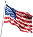 USA_flag emote