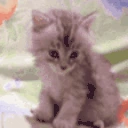 eepy emote