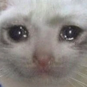 catto emote
