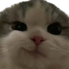 nhechmep