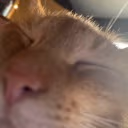 eepycar emote