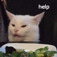 salad_cat_what emote