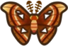 AtlasMoth emote