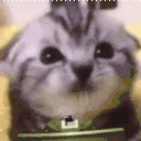 claymore emote