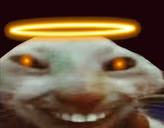 XdAngel emote