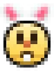 Bunny emote