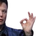 elonokay emote