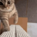 hellooo emote