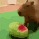 brb emote