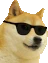 CoolDoge emote